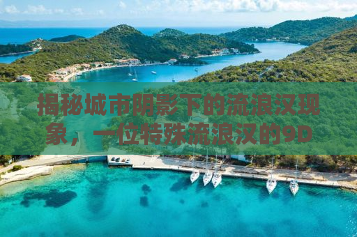 揭秘城市阴影下的流浪汉现象，一位特殊流浪汉的9DM故事