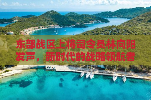 东部战区上将司令员林向阳发声，新时代的战略领航者引领军民奋进新征程