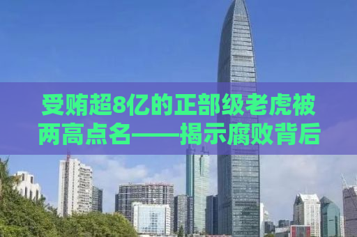 受贿超8亿的正部级老虎被两高点名——揭示腐败背后的真相