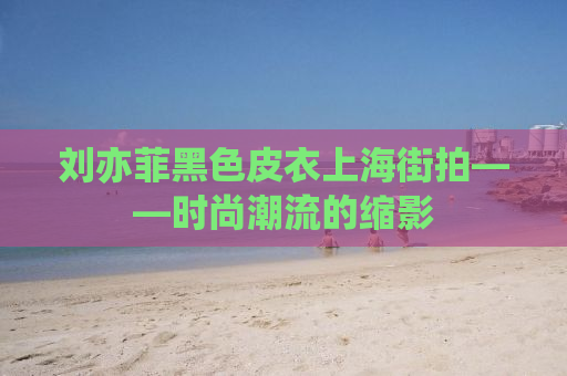 刘亦菲黑色皮衣上海街拍——时尚潮流的缩影