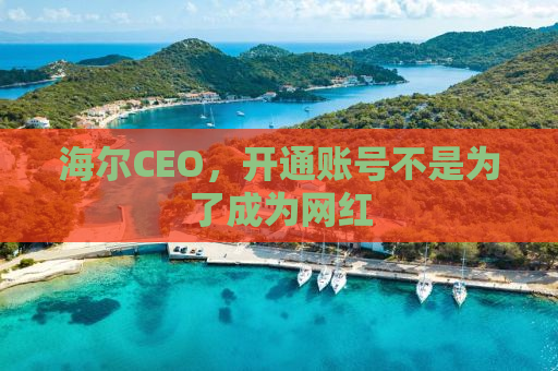 海尔CEO，开通账号不是为了成为网红