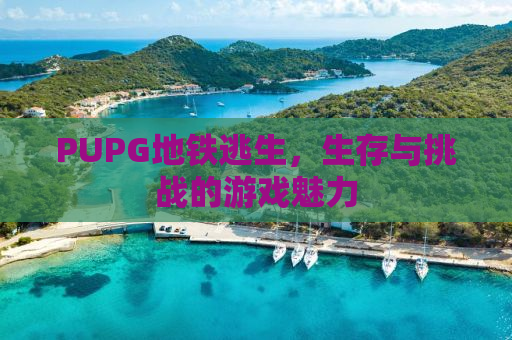 PUPG地铁逃生，生存与挑战的游戏魅力