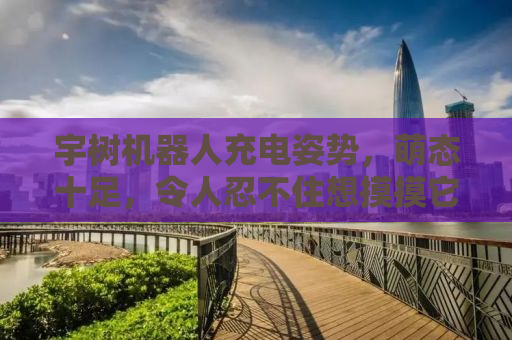 宇树机器人充电姿势，萌态十足，令人忍不住想摸摸它的头