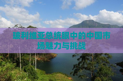 玻利维亚总统眼中的中国市场魅力与挑战