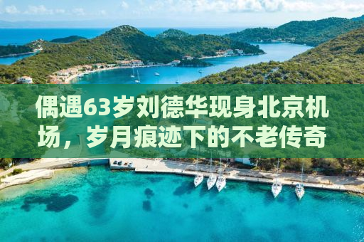 偶遇63岁刘德华现身北京机场，岁月痕迹下的不老传奇