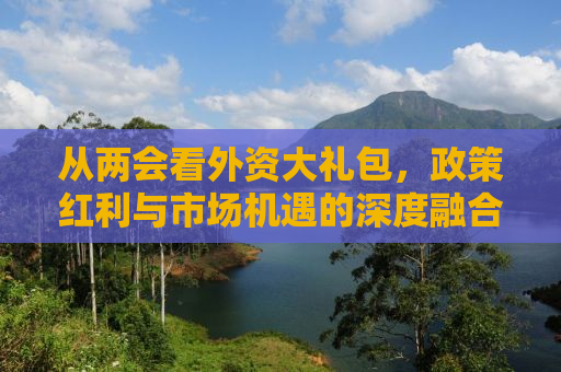 从两会看外资大礼包，政策红利与市场机遇的深度融合